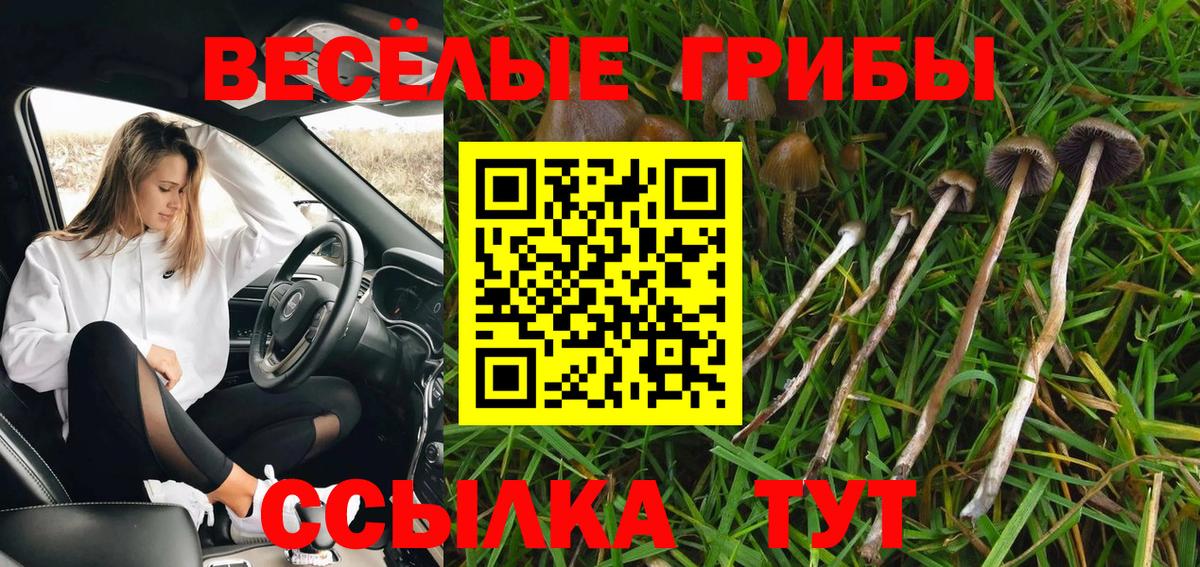 продажа наркотиков  Вход с VPN  Санкт-Петербург  Галлюциногенные грибы прущие грибы 