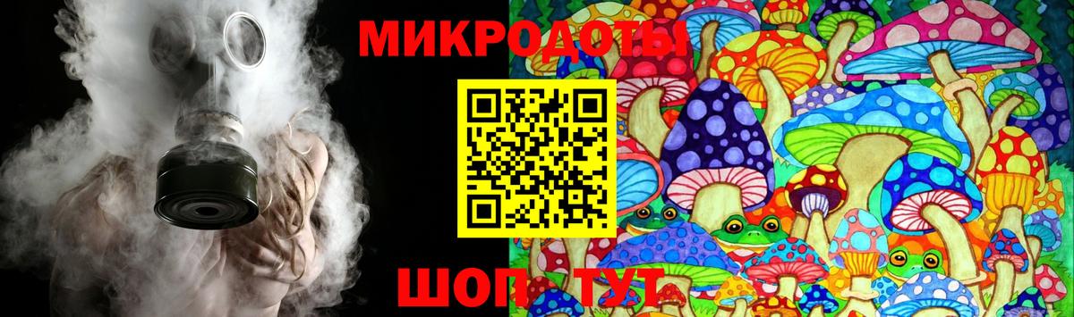 Псилоцибиновые грибы Cubensis Санкт-Петербург