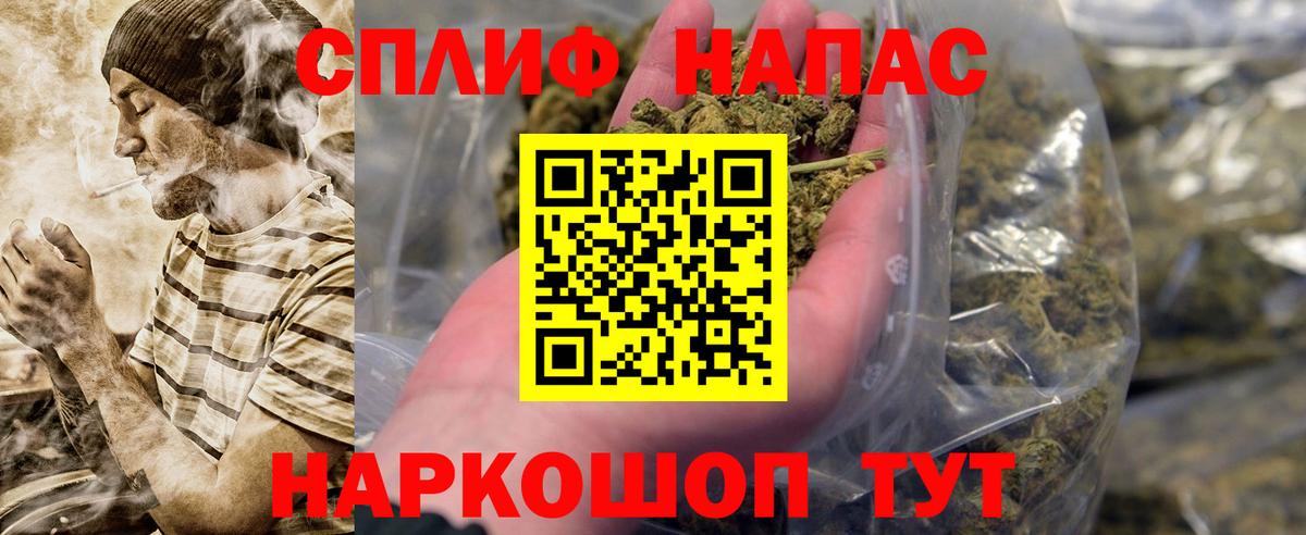 Шишки марихуана конопля Санкт-Петербург